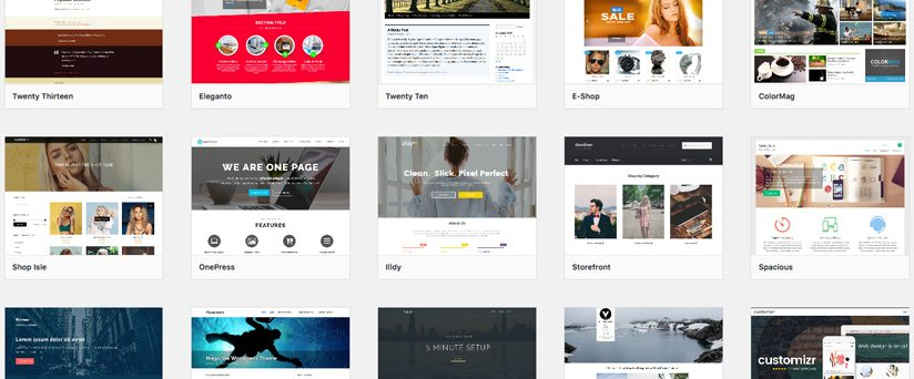 wordpress theme